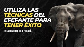 Desvelando 7 SECRETOS del ÉXITO usando la SABIDURÍA del Elefante [upl. by Ynaffital]