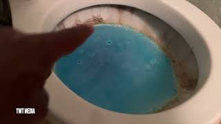 Splash FoamToilet Cleaner How ToReview [upl. by Ytnom256]