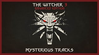 The Witcher 3  Mysterious tracks W3EE v470 [upl. by Valentino]