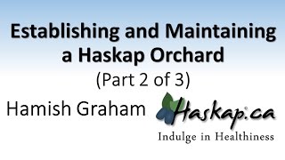 Establishing and Maintaining a Haskap Orchard Part 2 of 3 [upl. by Yllac]