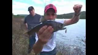 MUTANT FISH FROM CANADA real or fake [upl. by Behlke16]