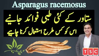 Satawar  Asparagus  Shatavari  Satawar Ka Mizaaj  Faide Aur Istemaal in Urdu  Hindi [upl. by Yarvis]