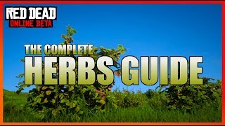 HERBS The Complete Guide  Red Dead Online [upl. by Jeraldine]