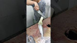 How To Take The bones Off Of Trout [upl. by Anerahs]