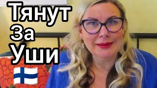 Нужно учиться Почему учителя тянут за уши Что делать если вы не справляетесь Жизнь в Финляндии [upl. by Petie949]