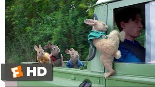 Peter Rabbit 2018  Wet Willy Rescue 410  Movieclips [upl. by Erihppas870]