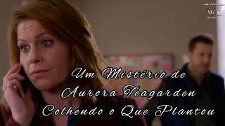 AURORA TEAGARDEN  COLHENDO O QUE PLANTOU [upl. by Wallack]