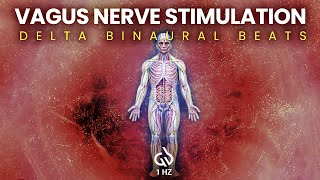 Vagus Nerve Stimulation amp Healing 1 Hz Delta Binaural Beats Healing [upl. by Yc272]