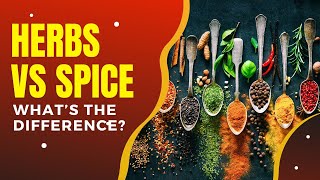 What Is The Difference Between Herbs and Spices [upl. by Stanwin]