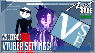 quotBEST VTuber Settingsquot VSeeFace BASIC Settings Explained  MSage Tutorials [upl. by Nayra885]