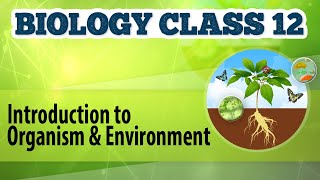 ORGANISMS AND POPULATION in 58 Minutes  Full Chapter Revision  Class 12th NEET [upl. by Holey]