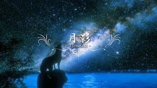 癒しの民族楽器音楽 quot 月影 quot  二胡 [upl. by Imotas]