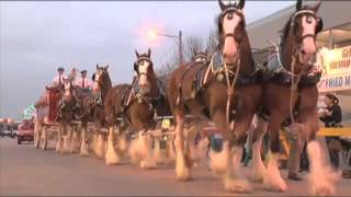 A look inside the history of the Clydesdale [upl. by Ahsilat855]