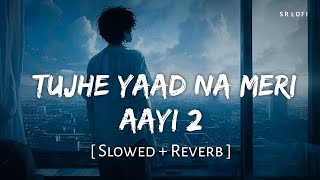 Tujhe Yaad Na Meri Ayee 2 Slowed  Reverb  B Praak Jaani  SR Lofi [upl. by Olia]