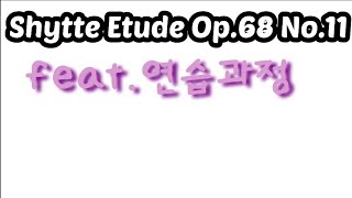 L Schytte Etude Op68 No11 쉬테 에튀드 amp 연습과정 영상 [upl. by Elleraj]