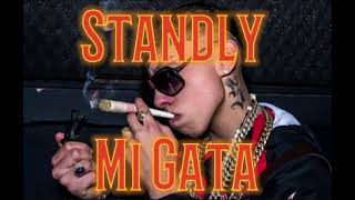 Standly  Mi Gata Music Official [upl. by Zumwalt]