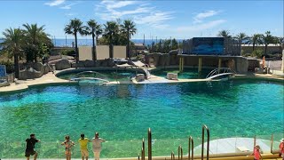 Une journée à Marineland  Antibes  Côte d’Azur [upl. by Arlo620]