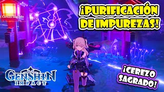 ¡quotPURIFICACIÓN de IMPUREZASquot 🌸 ¡CEREZO SAGRADO ⚡ GENSHIN IMPACT [upl. by Filmer]