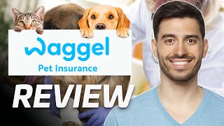 Waggel Pet Insurance Review  Is It Worth It 2024 [upl. by Rawna825]