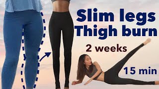 Eng Thigh Gap in 7 DAYs  10 Min Inner Thigh Leg Workout  Knee Friendly No Equipment [upl. by Yren27]