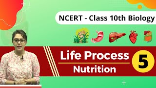 🔴Life Process Part5 Nutrition In Amoeba  Class X Biology CBSEICSENEET  By MB Mam [upl. by Fugate]