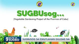 SUGBUSOG SA ESKUYLAHAN GILUSAD NA [upl. by Sualokcin]