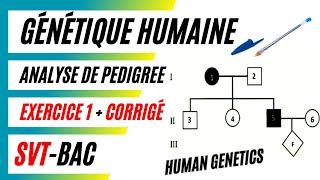 GÉNÉTIQUE HUMAINE Comment analyser un pedigrée  Exercice 1  Corrigé [upl. by Oijile]