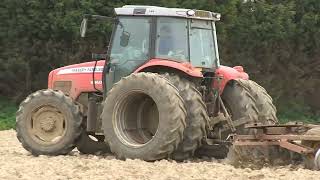 MASSEY FERGUSON 5460 AND MF 520 DISC HARROWS [upl. by Yslehc]