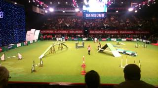 Ashleigh and Pudsey at Crufts 2014  they won [upl. by Prosser]