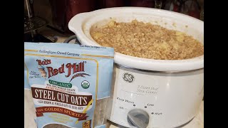 Crockpot OATMEAL is a GO [upl. by Gautious]