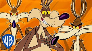 Looney Tunes  Wile E Coyote Genius Extraordinaire  30 Minutes [upl. by Bertila]