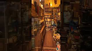 The Gently Mad Book Shop  Edinburgh [upl. by Ebeneser861]