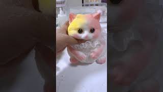 quotA cute little yellow and pink kittenquot cat squishable cute squishy pets squishys cuteanimal [upl. by Sebbie]