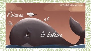 loiseau et la baleine  français  tiếng việt [upl. by Leiuqeze558]