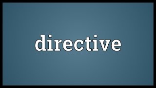 Directive Meaning [upl. by Haldan]