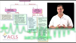 ACLS Video Review  Tachycardia Overview [upl. by Kerad]