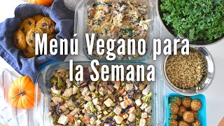 Preparando mi Comida de la Semana  Vegano Sabrosón [upl. by Enelyk]