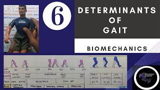 DETERMINANTS OF GAIT Gait BiomechanicsPhysiotherapy Tutorial [upl. by Suoirred870]