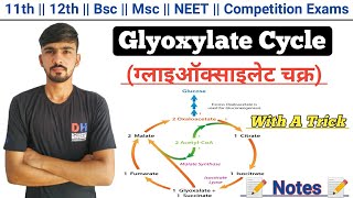 Peroxisome amp Glyoxysomes  Lectures of class 11th in UrduHindi  Jiyas Biology Tutorials [upl. by Ateloiv]