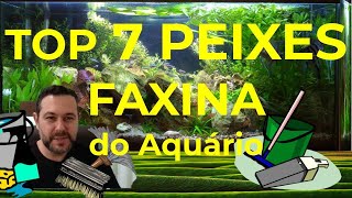 Melhores Peixes para Limpeza do Aquário  Comedores de Alga e de ração que cai no fundo 7 faxineiros [upl. by Lednek953]