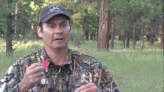 Elk Calling Tips on Cow Calls with Steve Chappell [upl. by Maxentia]