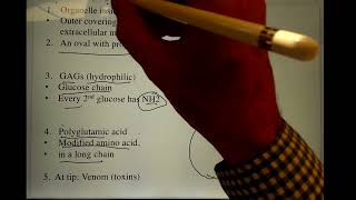 Nematocyst Structure and Function v3 9 24 [upl. by Kermie]