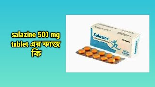 Salazine 500 mg Tablet bangla  স্যালাজিন ৫০০ মিগ্রা ট্যাবলেট [upl. by Augie]