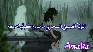 التولبا الصديق السحري ماهو وكيفية صنعه [upl. by Watts822]