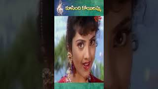 కూసింది కోయిలమ్మ  Venkatesh  Meena  Abbayigaru Movie Songs shorts youtubeshorts ytshortsindia [upl. by Egidius529]