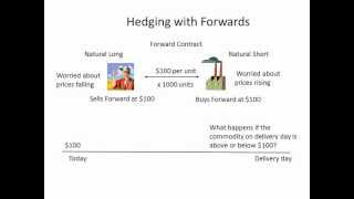 Hedging with Forwards [upl. by Neoma]