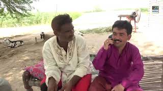 Anum New Top Funny  Punjabi Comedy Video 2023 [upl. by Alberic]