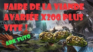 ARK TUTO I Comment faire de la viande avariée plus rapide sur ark [upl. by Ydor]