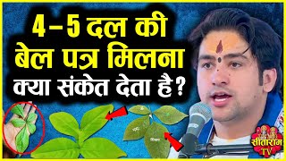 Belpatra  45 दल की बेल पत्र मिलना क्या संकेत देता है  Bageshwar Dham Sarkar ke Upay [upl. by Hjerpe116]