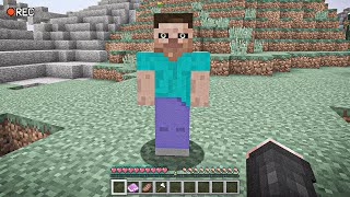 I SAW HEROBRINE IN MINECRAFT… [upl. by Wilfreda719]